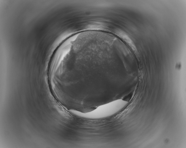 X0000099291427200805231311