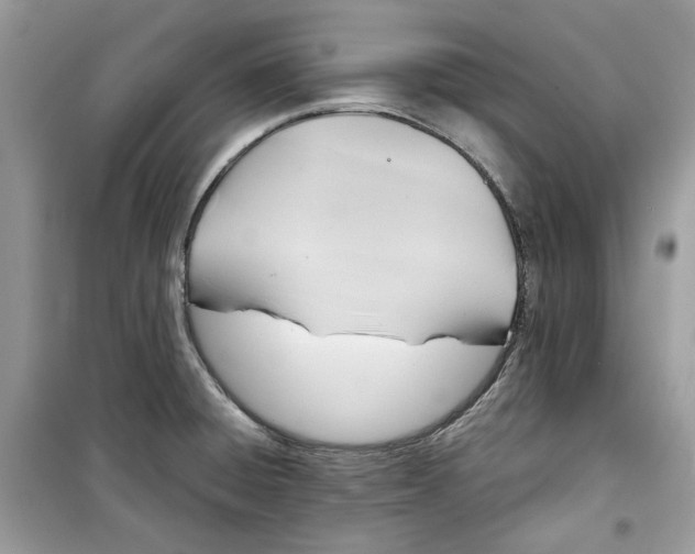 X0000099291428200805231311