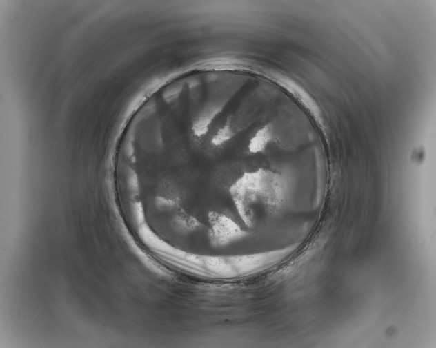 X0000099291429200805231311