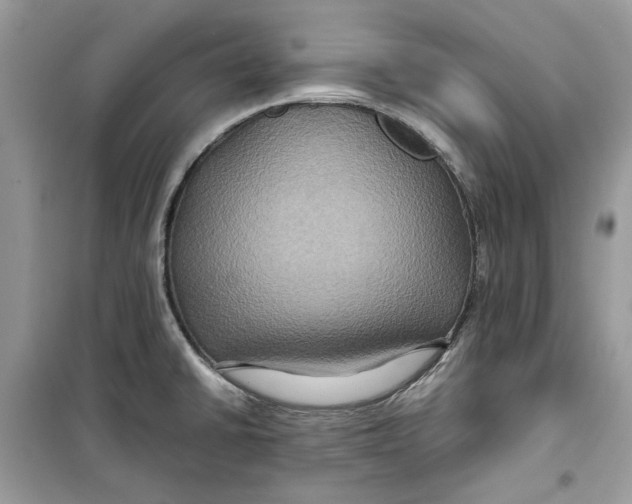 X0000099291430200805231311