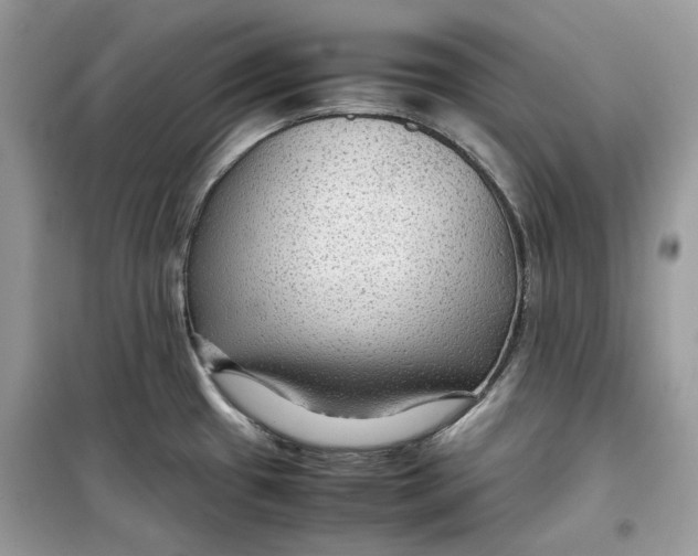 X0000099291433200805231311