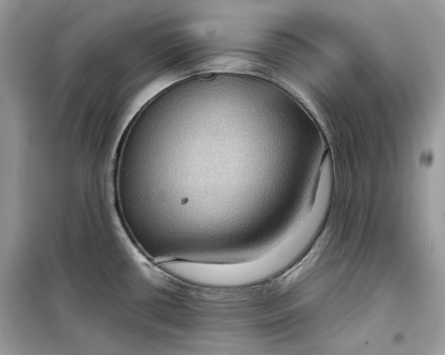 X0000099291434200805231311