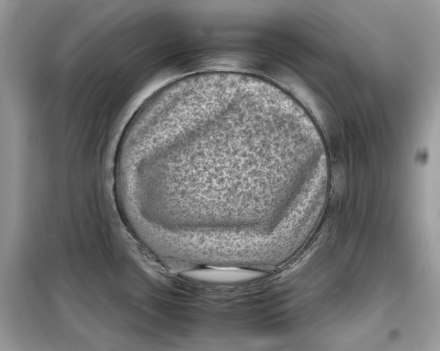 X0000099291435200805231311