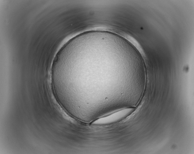 X0000099291436200805231311