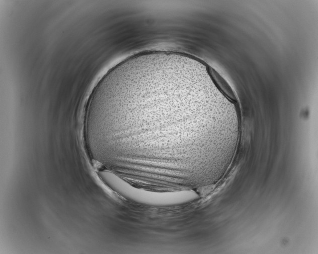 X0000099291437200805231311