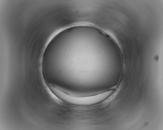 X0000099291438200805231311