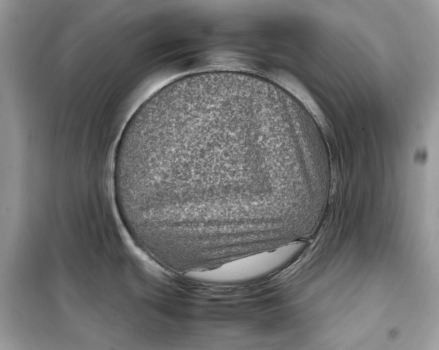 X0000099291439200805231311