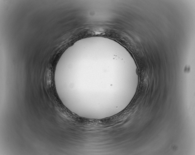 X0000099291442200805231310