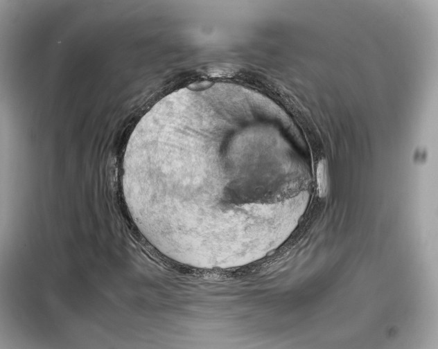 X0000099291443200805231310