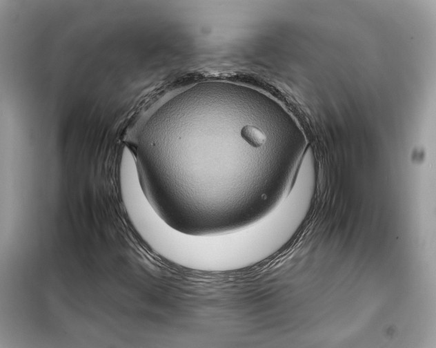 X0000099291444200805231310