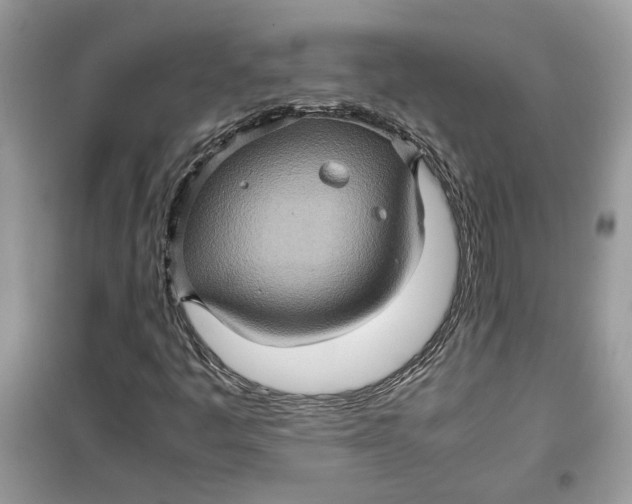 X0000099291445200805231310