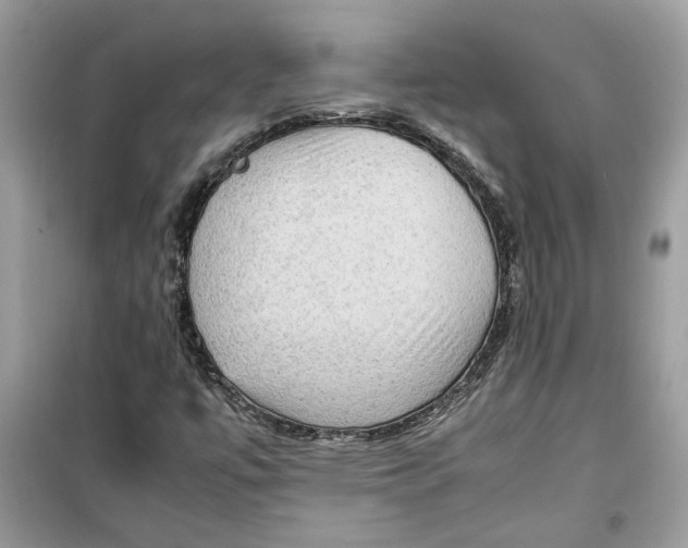 X0000099291447200805231310