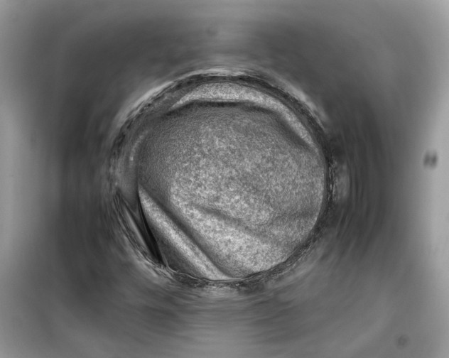 X0000099291448200805231310