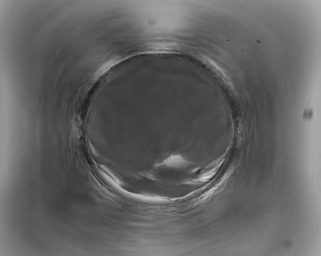 X0000099291449200805231310