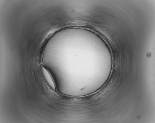 X0000099291451200805231310