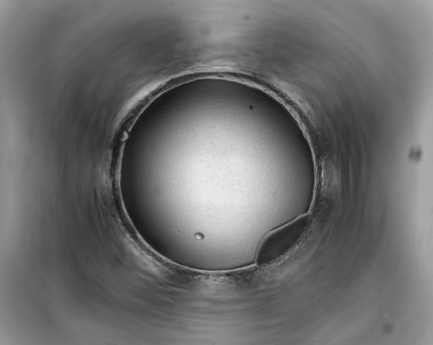 X0000099291452200805231310