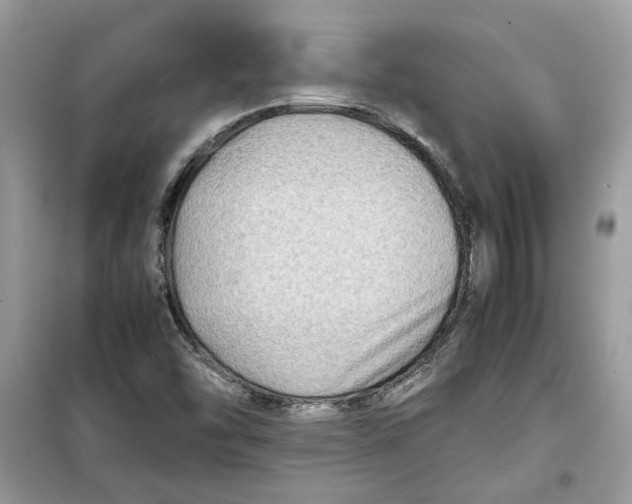 X0000099291454200805231310