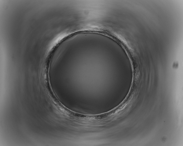 X0000099291455200805231310