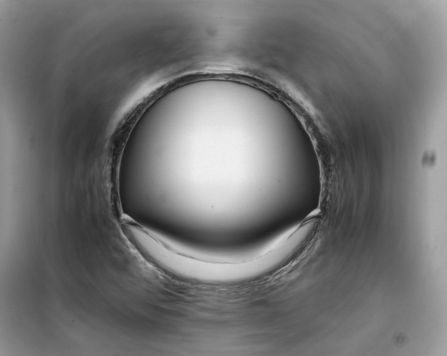 X0000099291456200805231310