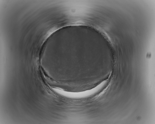 X0000099291457200805231310