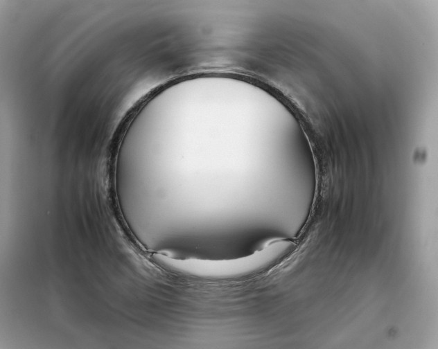 X0000099291458200805231310