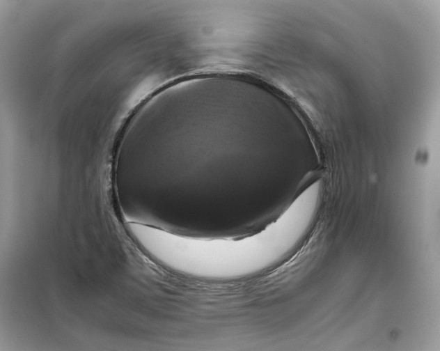 X0000099291459200805231310