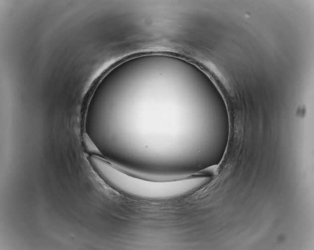 X0000099291460200805231310