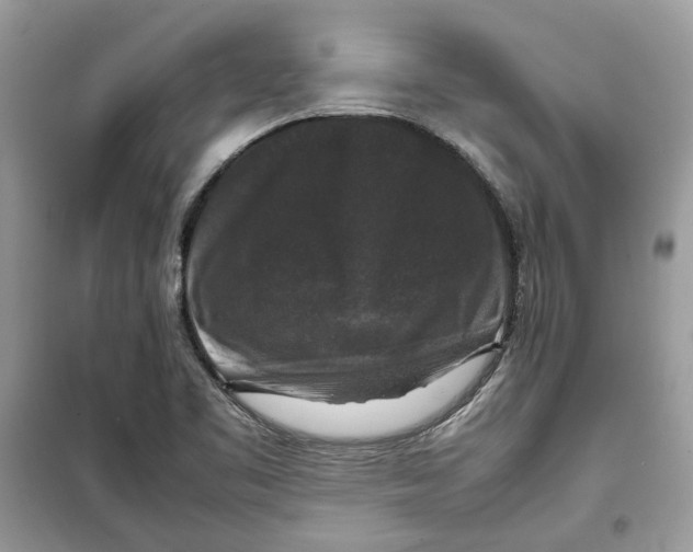 X0000099291461200805231310