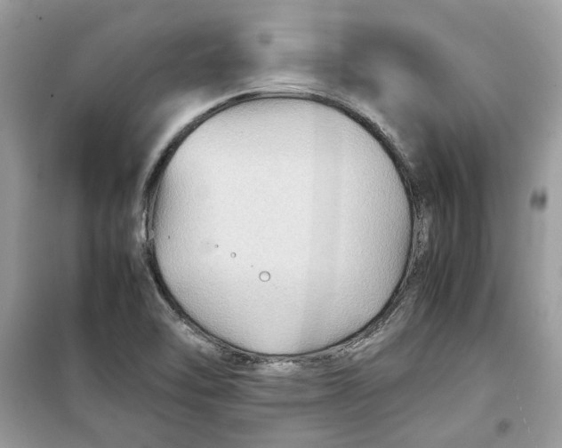 X0000099291462200805231310