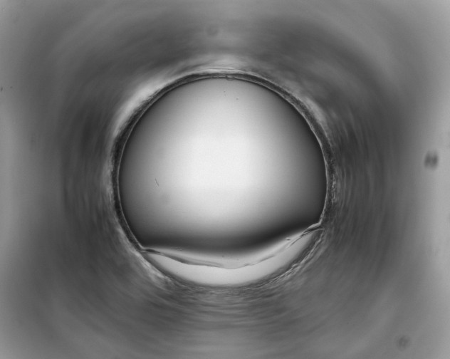 X0000099291464200805231310