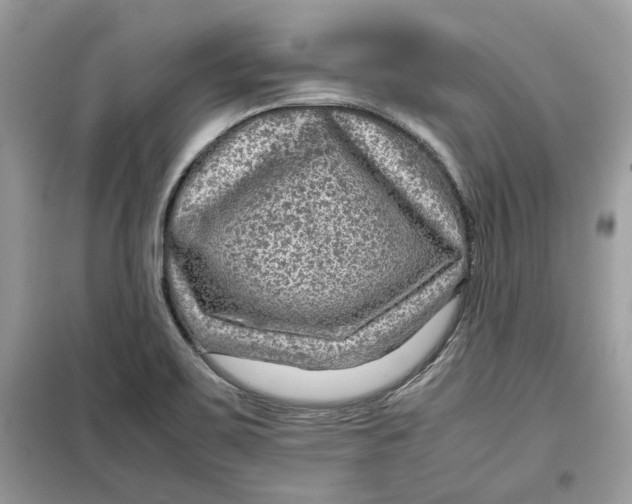 X0000099291467200805231310