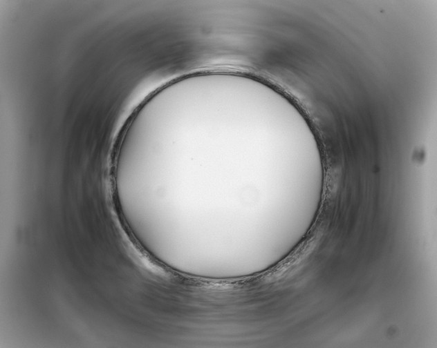 X0000099291470200805231310