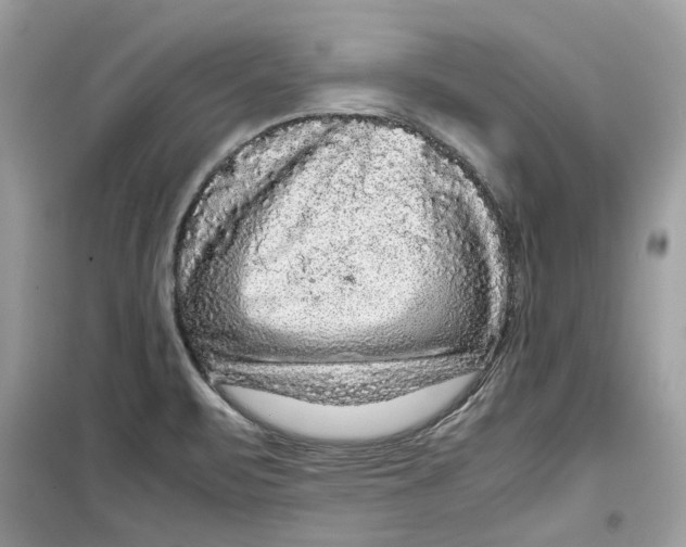 X0000099291471200805231310