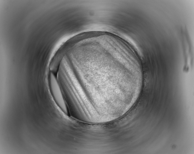 X0000099291472200805231310