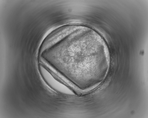 X0000099291475200805231310