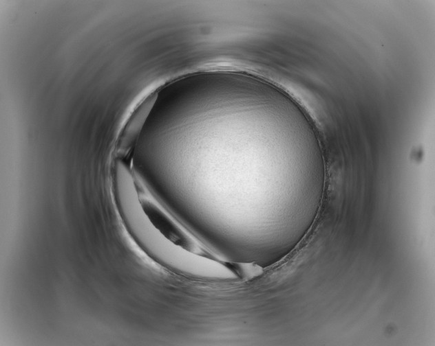 X0000099291476200805231310