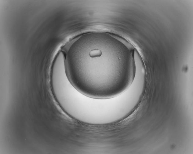 X0000099291477200805231310