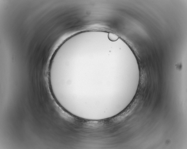 X0000099291478200805231310