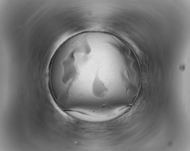 X0000099291479200805231309