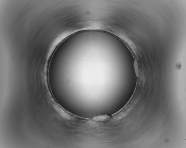 X0000099291480200805231309