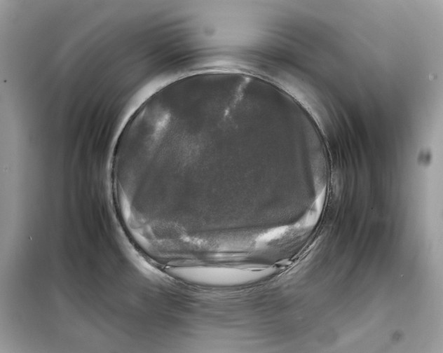 X0000099291482200805231309