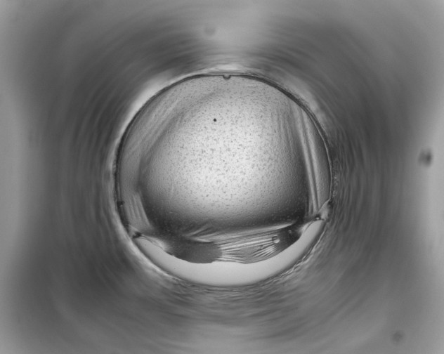 X0000099291483200805231309