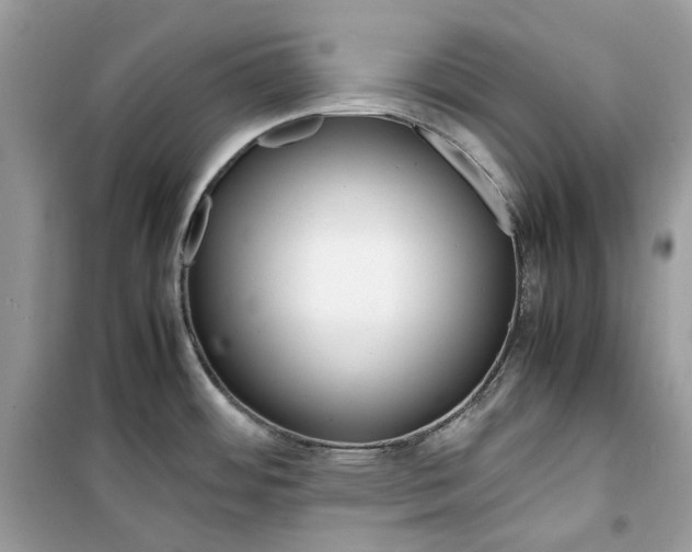 X0000099291484200805231309