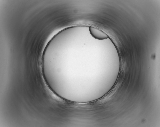 X0000099291486200805231309