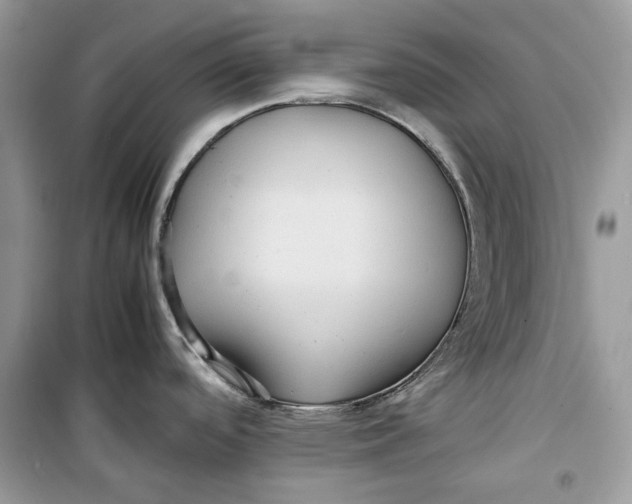 X0000099291488200805231309