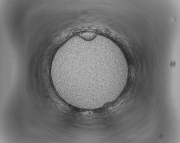 X0000099291489200805231309