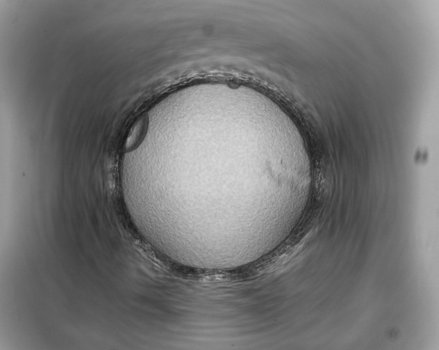 X0000099291490200805231309