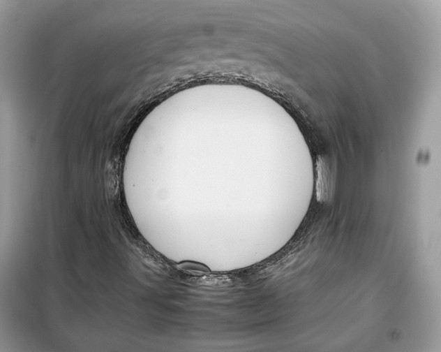 X0000099291491200805231309