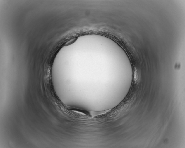 X0000099291492200805231309