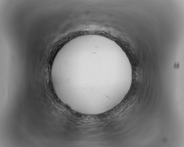 X0000099291493200805231309